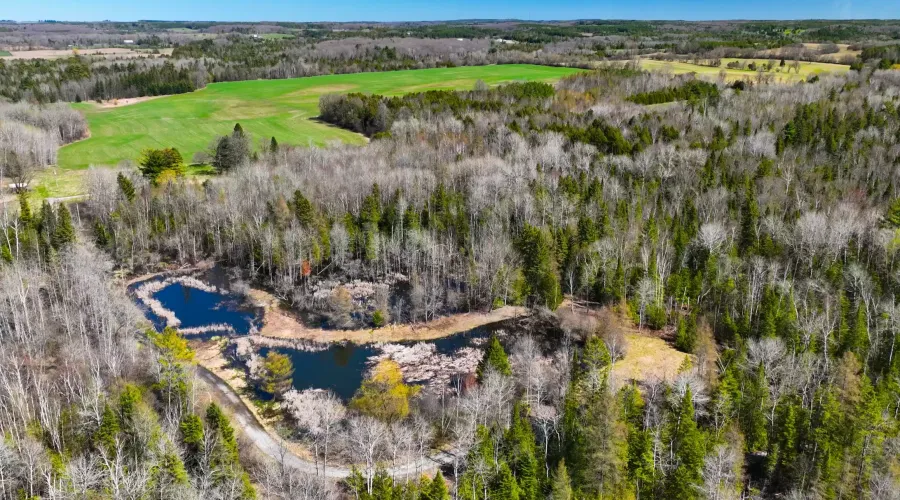 7489 Concession Road 2, Uxbridge, Ontario, Canada, ,Land,For Sale,Concession,1548284