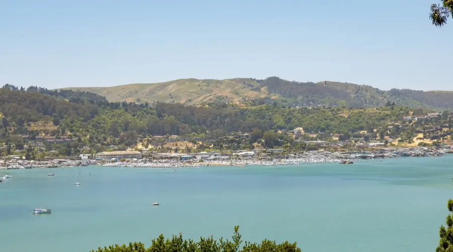 6 Crest Road, Belvedere Tiburon, California, 94920, United States, 5 Bedrooms Bedrooms, ,3 BathroomsBathrooms,Residential,For Sale,6 Crest Road,1574314