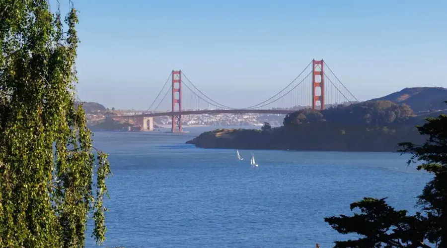 332 Golden Gate Avenue, Belvedere, California, 94920, United States, 6 Bedrooms Bedrooms, ,6 BathroomsBathrooms,Residential,For Sale,332 Golden Gate Avenue,1575182