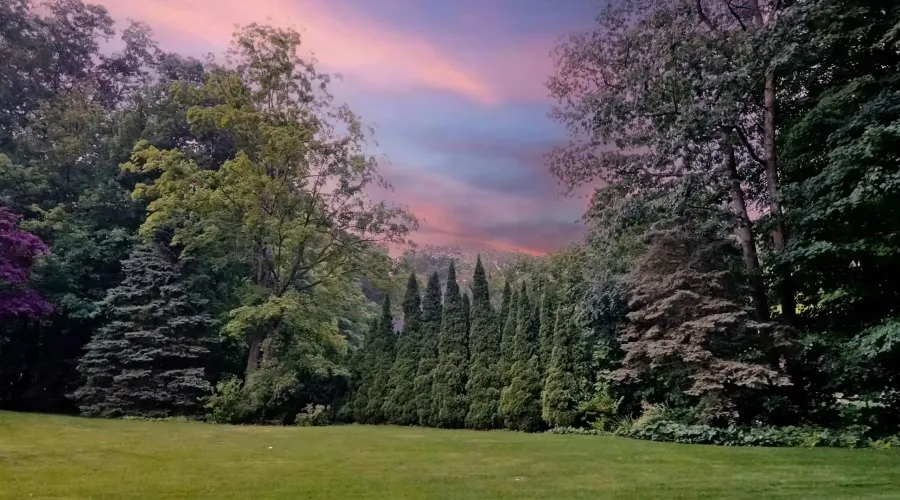 204 Forest Ridge Road, Richmond Hill, Ontario, Canada, 5 Bedrooms Bedrooms, 11 Rooms Rooms,6 BathroomsBathrooms,Residential,For Sale,Forest Ridge,1576994