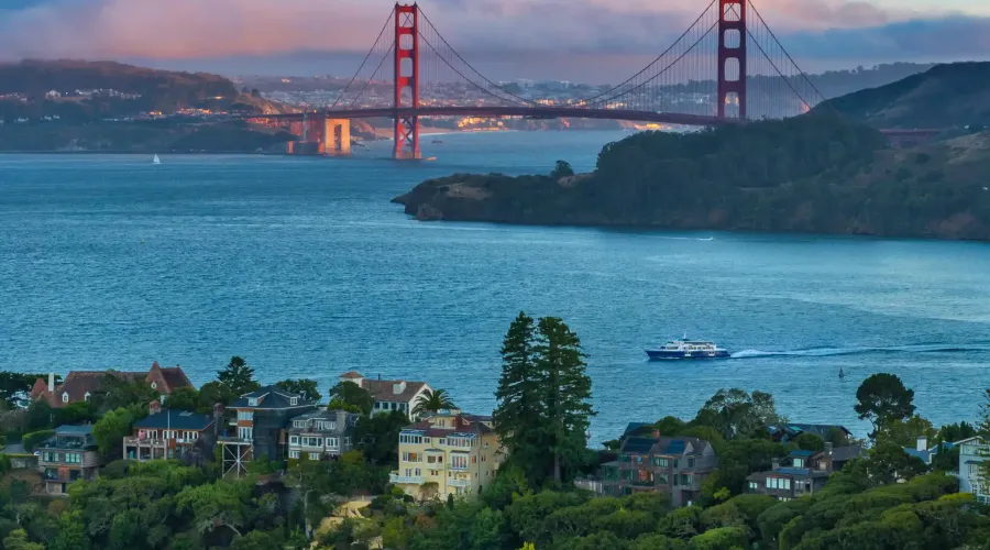 308 Golden Gate, Belvedere, California, 94920, United States, 8 Bedrooms Bedrooms, ,7 BathroomsBathrooms,Residential,For Sale,308 Golden Gate,1603179