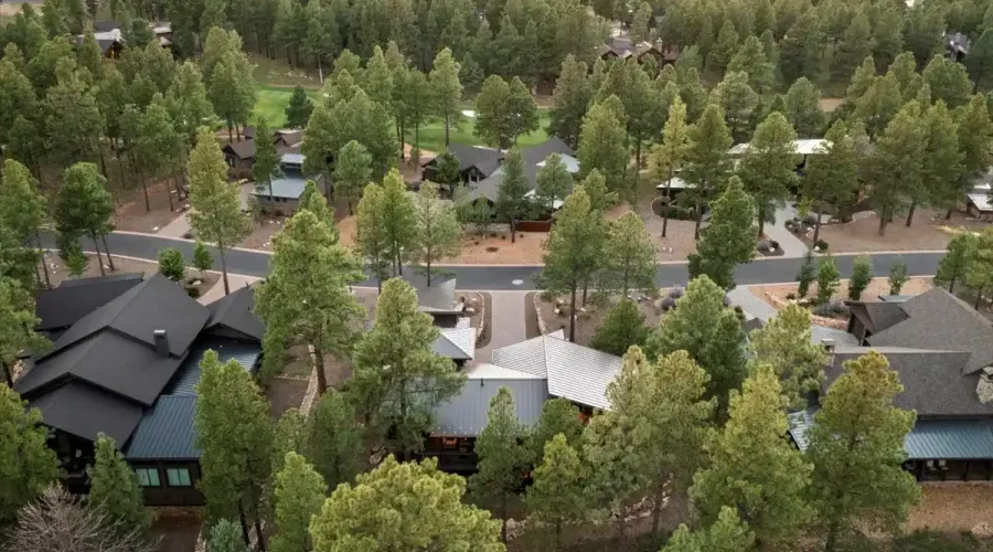 3040 S. Solitaires Canyon Drive, Flagstaff, Arizona, United States, 4 Bedrooms Bedrooms, ,4 BathroomsBathrooms,Residential,For Sale,S. Solitaires Canyon ,1608296