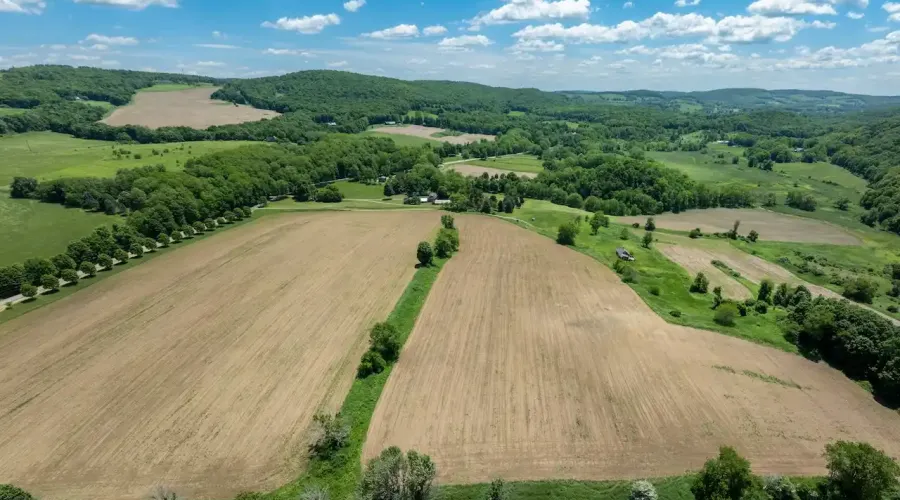 1533-1539 Route 83, Millerton, New York, United States, ,Land,For Sale,Route 83,1692343