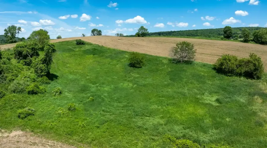 1533-1539 Route 83, Millerton, New York, United States, ,Land,For Sale,Route 83,1692343