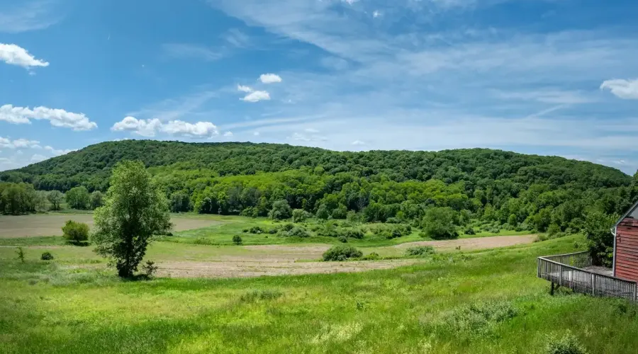 1533-1539 Route 83, Millerton, New York, United States, ,Land,For Sale,Route 83,1692343