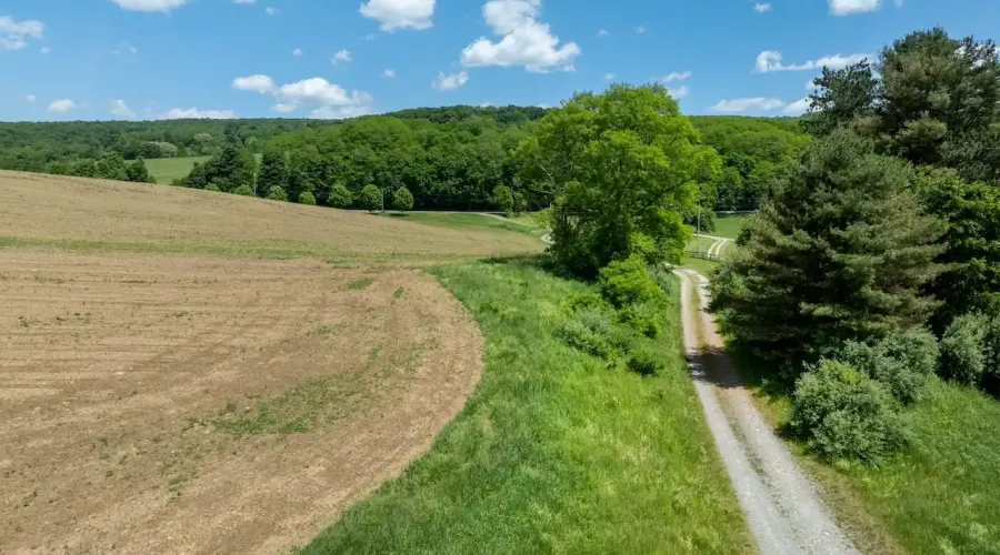 1533-1539 Route 83, Millerton, New York, United States, ,Land,For Sale,Route 83,1692343