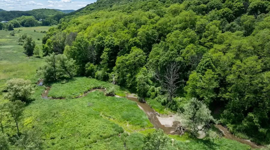 1533-1539 Route 83, Millerton, New York, United States, ,Land,For Sale,Route 83,1692343