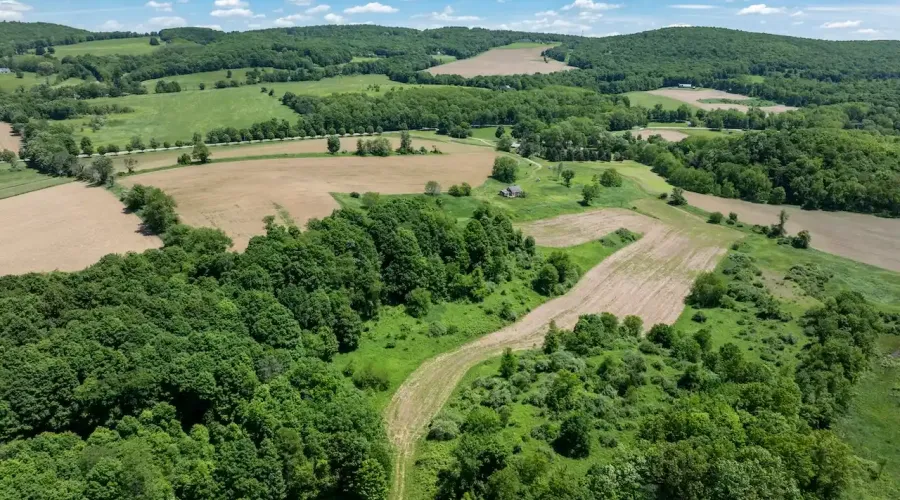 1533-1539 Route 83, Millerton, New York, United States, ,Land,For Sale,Route 83,1692343