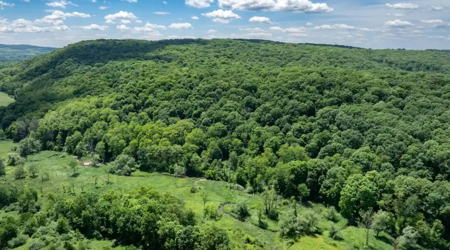 1533-1539 Route 83, Millerton, New York, United States, ,Land,For Sale,Route 83,1692343