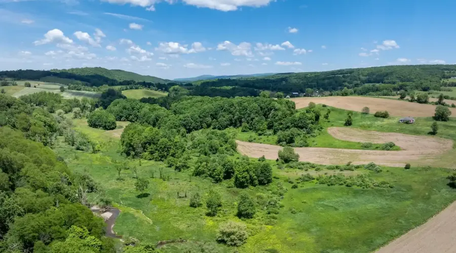 1533-1539 Route 83, Millerton, New York, United States, ,Land,For Sale,Route 83,1692343