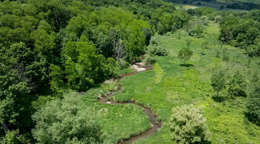 1533-1539 Route 83, Millerton, New York, United States, ,Land,For Sale,Route 83,1692343