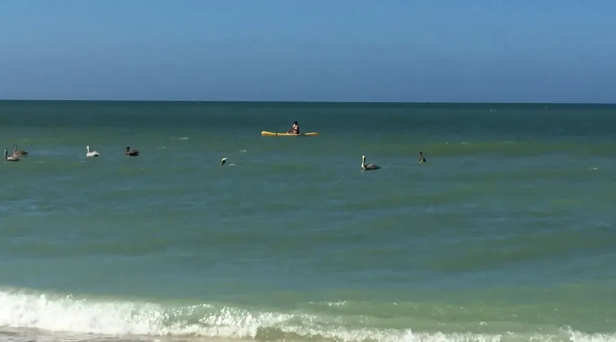 1825 Middle Gulf Drive, Sanibel, Florida, 33957, United States, 3 Bedrooms Bedrooms, 11 Rooms Rooms,2 BathroomsBathrooms,Residential,For Sale,Middle Gulf,1692345