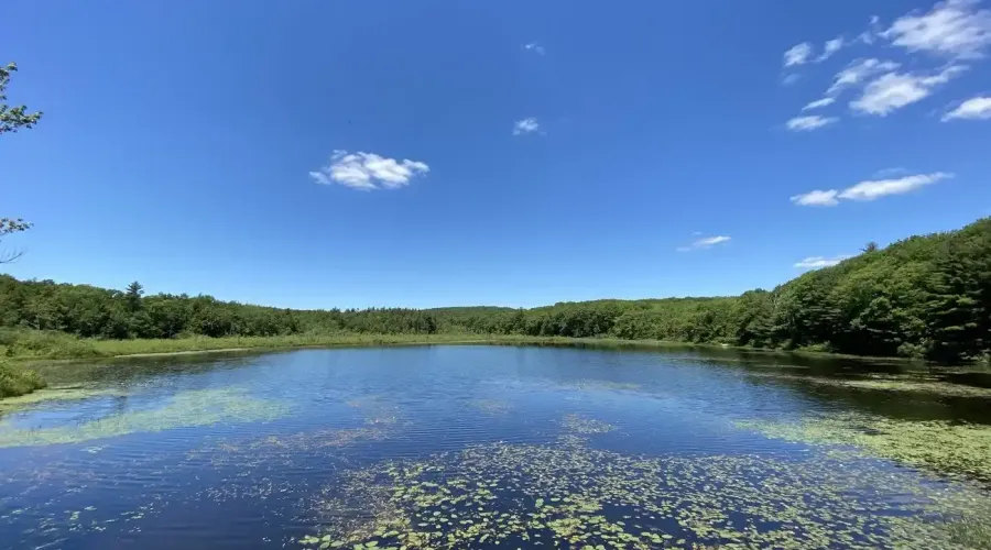 Greenwoods Roads East, Norfolk, Connecticut, United States, ,Land,For Sale,Greenwoods Roads East,1697846