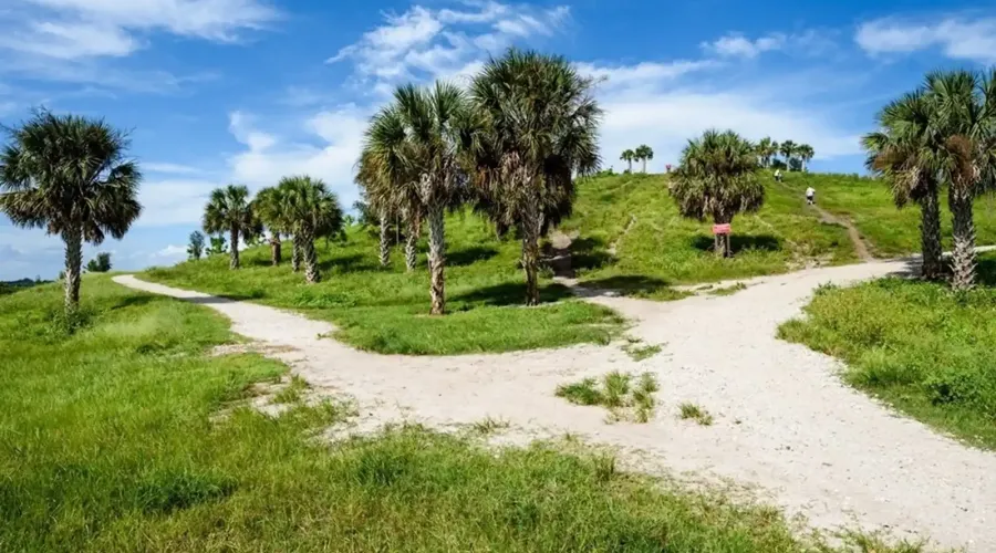 1471 Arcadia Ave, Sarasota, Florida, 34232, United States, 5 Bedrooms Bedrooms, 8 Rooms Rooms,3 BathroomsBathrooms,Residential,For Sale,Arcadia,1726064