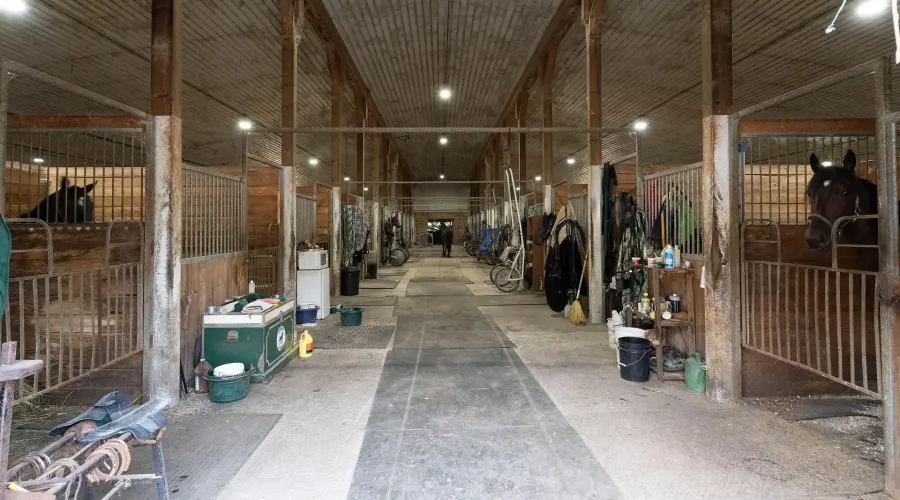 1046 Concession 6 Rd W, Hamilton, Ontario, L0R 1V0, Canada, 5 Bedrooms Bedrooms, ,7 BathroomsBathrooms,Residential,For Sale,Concession 6 Rd W,1731317