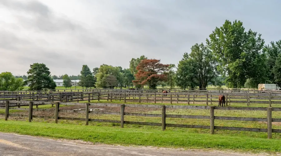 1046 Concession 6 Rd W, Hamilton, Ontario, L0R 1V0, Canada, 5 Bedrooms Bedrooms, ,7 BathroomsBathrooms,Residential,For Sale,Concession 6 Rd W,1731317