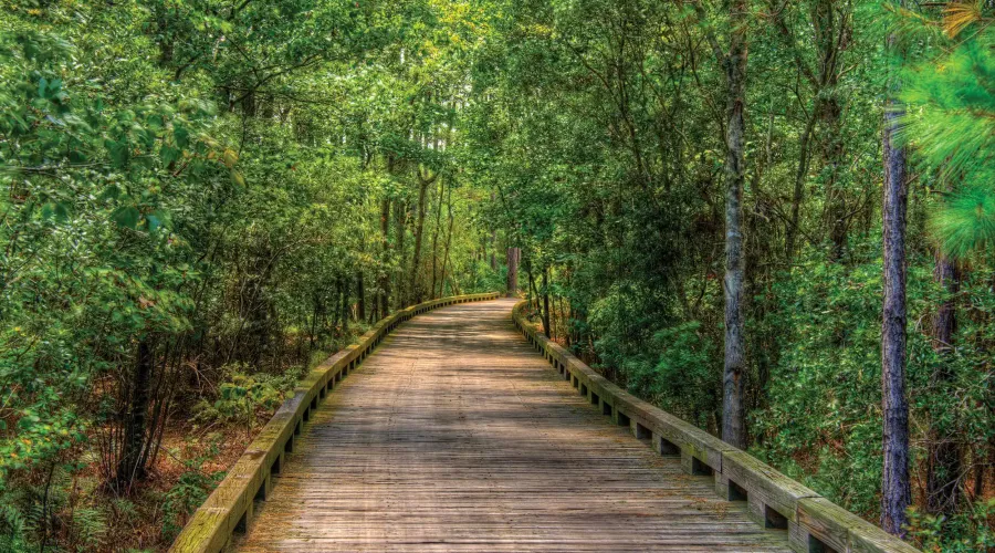 95191 Amelia National Pkwy, Fernandina Beach, Florida, 32034, United States, ,Residential,For Sale,95191 Amelia National Pkwy,1735212