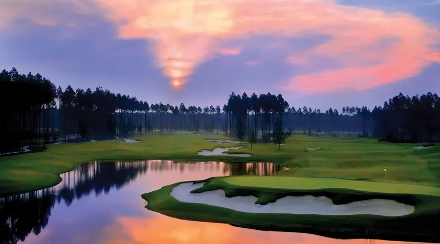 95191 Amelia National Pkwy, Fernandina Beach, Florida, 32034, United States, ,Residential,For Sale,95191 Amelia National Pkwy,1735212