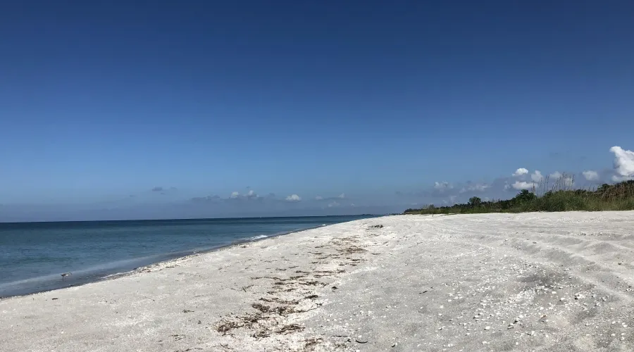 1986 Wild Lime Drive, Sanibel, Florida, 33924, United States, 3 Bedrooms Bedrooms, 9 Rooms Rooms,2 BathroomsBathrooms,Single family home,For Sale,Wild Lime,1753985