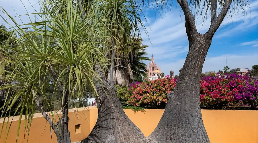 San Miguel de Allende, Mexico, 3 Bedrooms Bedrooms, ,4 BathroomsBathrooms,Residential,For Sale,1765248