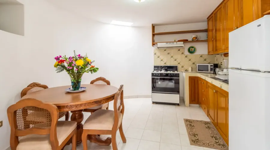 San Miguel de Allende, Mexico, 9 Bedrooms Bedrooms, ,8 BathroomsBathrooms,Residential,For Sale,1768979