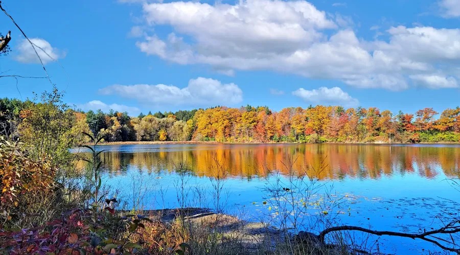 6 & 8 Macleod Estate Crt, Richmond Hill, Ontario, Canada, ,8 BathroomsBathrooms,Residential,For Sale,Macleod Estate,1839449