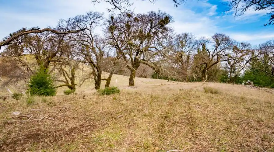 9140 Boonville Rd,Ukiah,California 95482,United States,Ranch,Boonville,185068