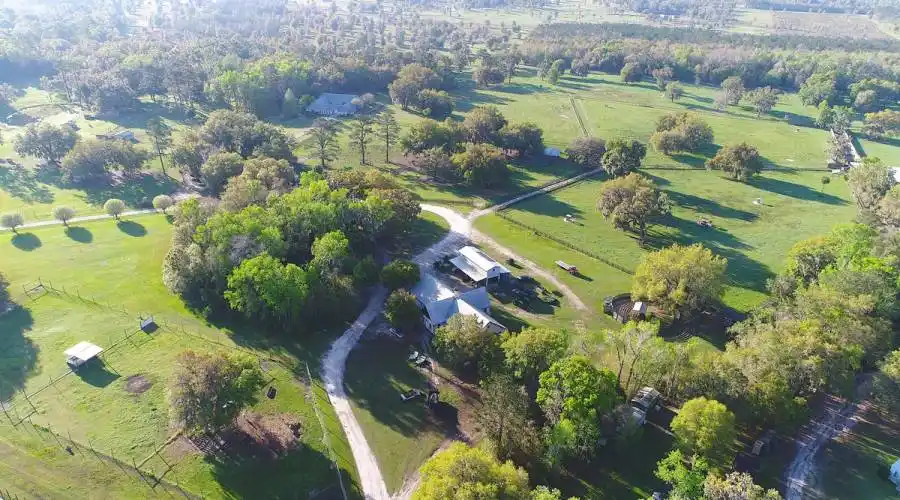 19350 NW 1234rd Court,Micanopy,Florida 32667,United States,4 Bedrooms Bedrooms,3 BathroomsBathrooms,Ranch,NW 1234rd,185260