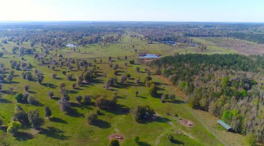 19350 NW 1234rd Court,Micanopy,Florida 32667,United States,4 Bedrooms Bedrooms,3 BathroomsBathrooms,Ranch,NW 1234rd,185260