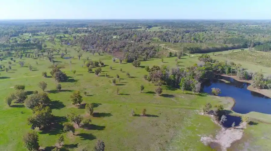 19350 NW 1234rd Court,Micanopy,Florida 32667,United States,4 Bedrooms Bedrooms,3 BathroomsBathrooms,Ranch,NW 1234rd,185260