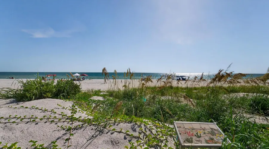 9600 W GULF BOULEVARD, TREASURE ISLAND, Florida, 33706, United States, 5 Bedrooms Bedrooms, 12 Rooms Rooms,5 BathroomsBathrooms,Residential,For Sale,The House of Lights,W GULF BOULEVARD,4,1893281