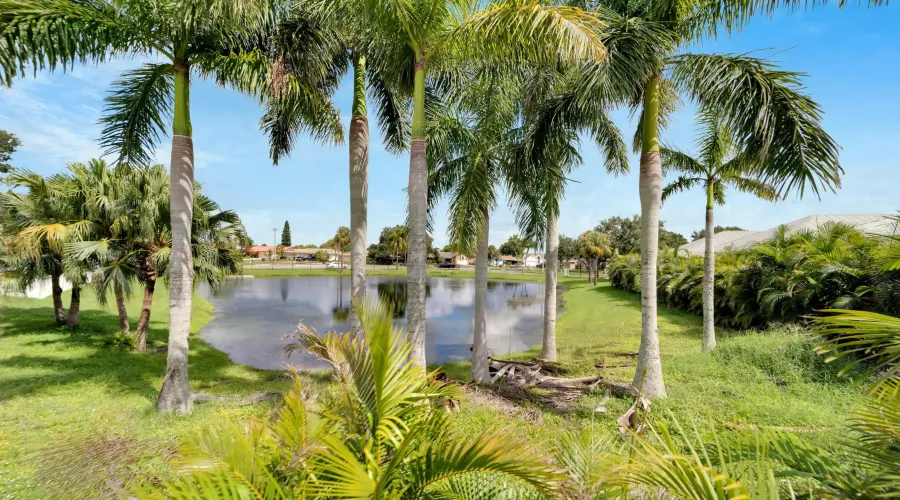 567 BIMINI BAY BOULEVARD, Apollo Beach, Florida, 33572, United States, 4 Bedrooms Bedrooms, 7 Rooms Rooms,3 BathroomsBathrooms,Residential,For Sale,BIMINI BAY BOULEVARD,1903239