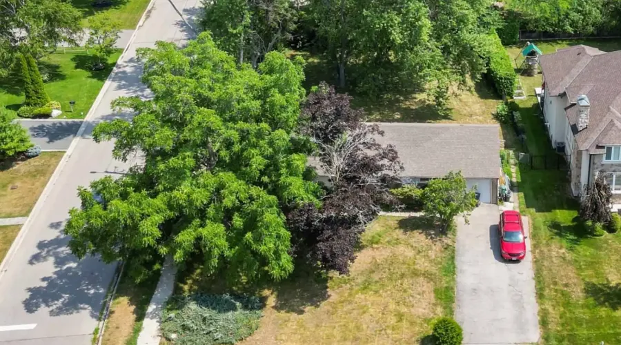 1491 Woodeden Drive, Mississauga, Ontario, L5H 2V1, Canada, 3 Bedrooms Bedrooms, ,2 BathroomsBathrooms,Residential,For Sale,1904194