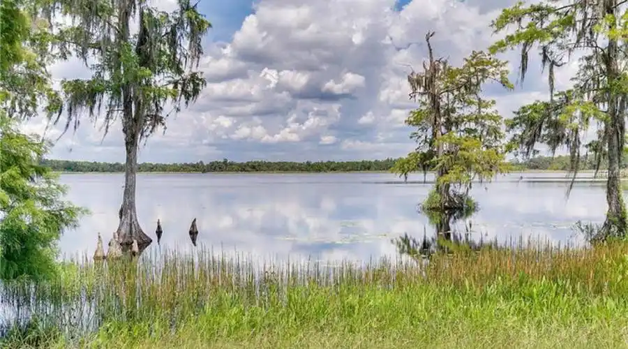 1 Seidel Rd,Winter Garden,Florida 34787,United States,1 Bedroom Bedrooms,1 BathroomBathrooms,Residential,Seidel Rd,186591