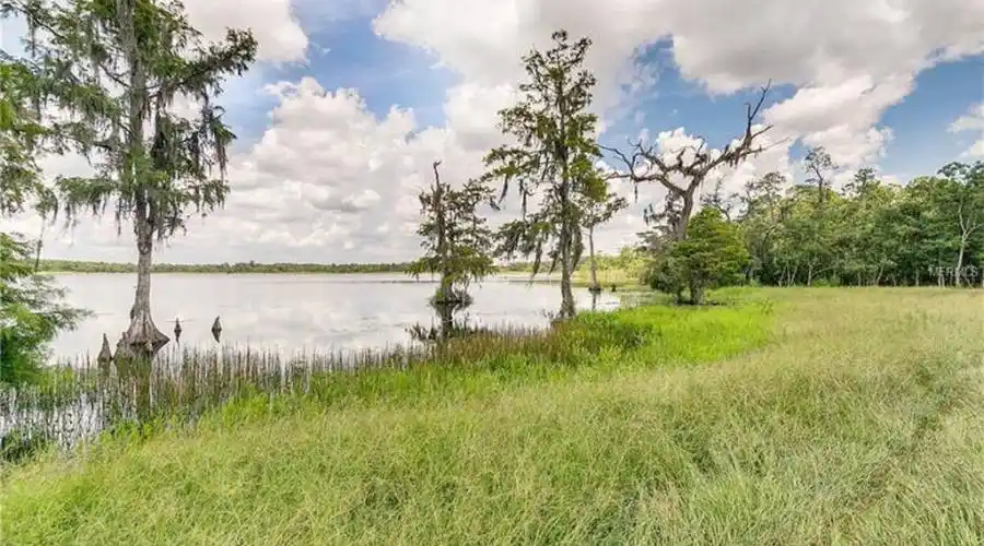 1 Seidel Rd,Winter Garden,Florida 34787,United States,1 Bedroom Bedrooms,1 BathroomBathrooms,Residential,Seidel Rd,186591