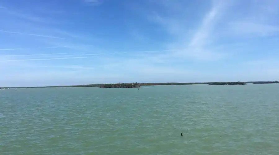 1441 Butterfield Ct.,Marco Island,Florida 34145,United States,4 Bedrooms Bedrooms,5 BathroomsBathrooms,Waterfront,Butterfield ,188207