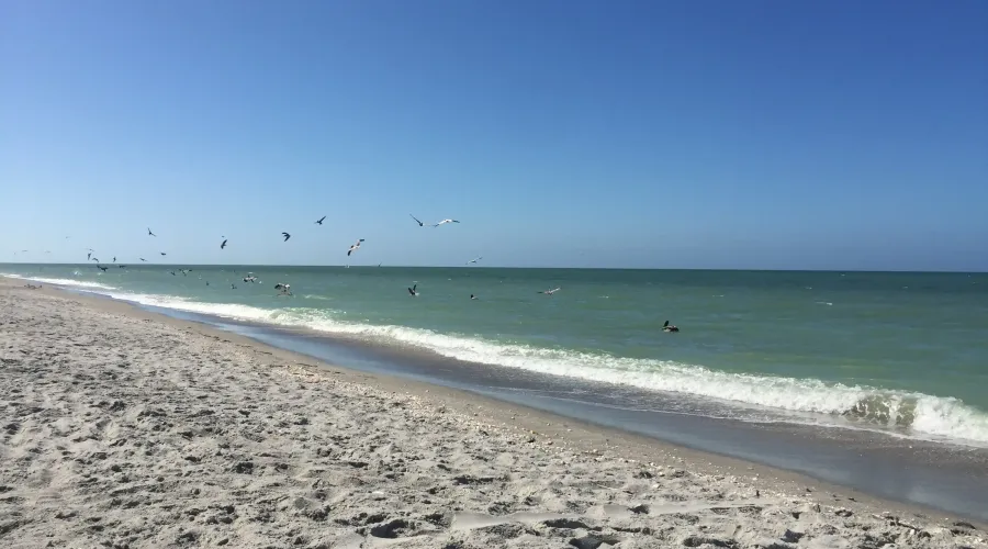 200 Periwinkle Way, Sanibel, Florida, 33957, United States, 3 Bedrooms Bedrooms, 8 Rooms Rooms,2 BathroomsBathrooms,Waterfront,For Sale,Lighthouse Point,Periwinkle,2,1941397