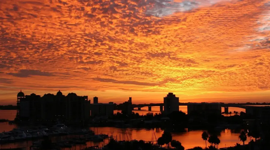 1255 N Gulfstream Ave, Sarasota, Florida, 34236, United States, 2 Bedrooms Bedrooms, 5 Rooms Rooms,2 BathroomsBathrooms,Residential,For Sale,Bay Plaza,Gulfstream Ave,1942413