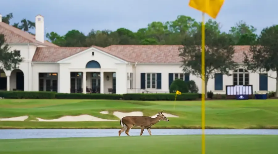 8305 Farington Court, Bradenton, Florida, 34202, United States, 4 Bedrooms Bedrooms, 12 Rooms Rooms,5 BathroomsBathrooms,Residential,For Sale,Farington,1945373