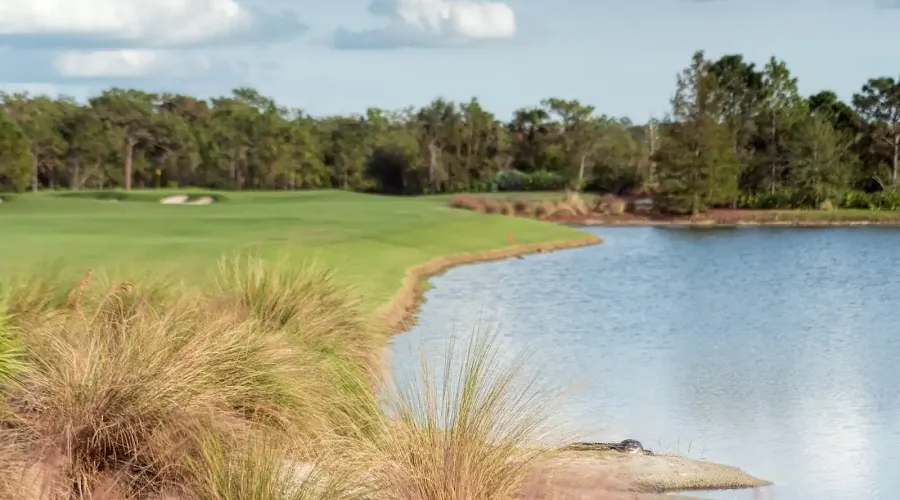 8305 Farington Court, Bradenton, Florida, 34202, United States, 4 Bedrooms Bedrooms, 12 Rooms Rooms,5 BathroomsBathrooms,Residential,For Sale,Farington,1945373