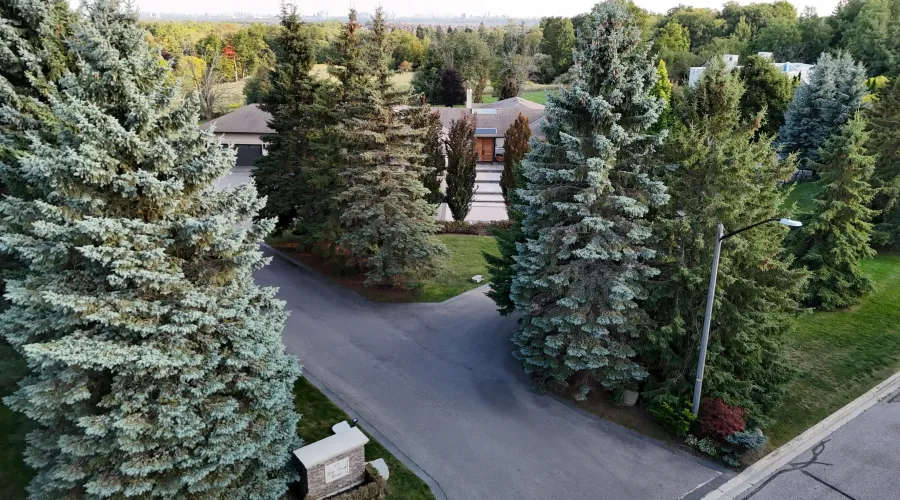 17 Dew Drop Crt, Vaughan, Ontario, L6A 1E9, Canada, 5 Bedrooms Bedrooms, 10 Rooms Rooms,6 BathroomsBathrooms,Residential,For Sale,Dew Drop,1952509