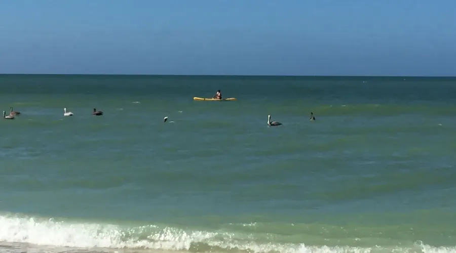 611 North Yachtsman Drive, Sanibel, Florida, 33957, United States, 3 Bedrooms Bedrooms, 9 Rooms Rooms,2 BathroomsBathrooms,Residential,For Sale,North Yachtsman,1994848