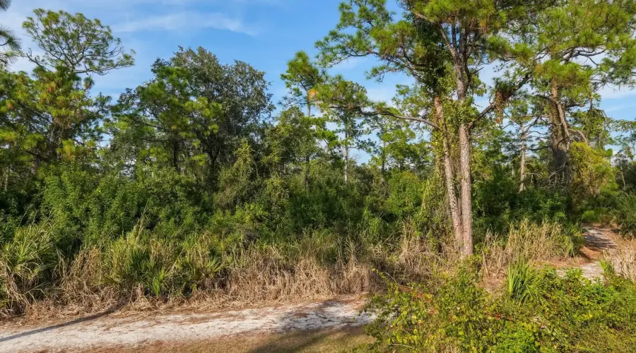 6421 Blue Grosbeak Circle, Lakewood Ranch, Florida, 34202, United States, 4 Bedrooms Bedrooms, ,3 BathroomsBathrooms,Residential,For Sale,Blue Grosbeak,2001085