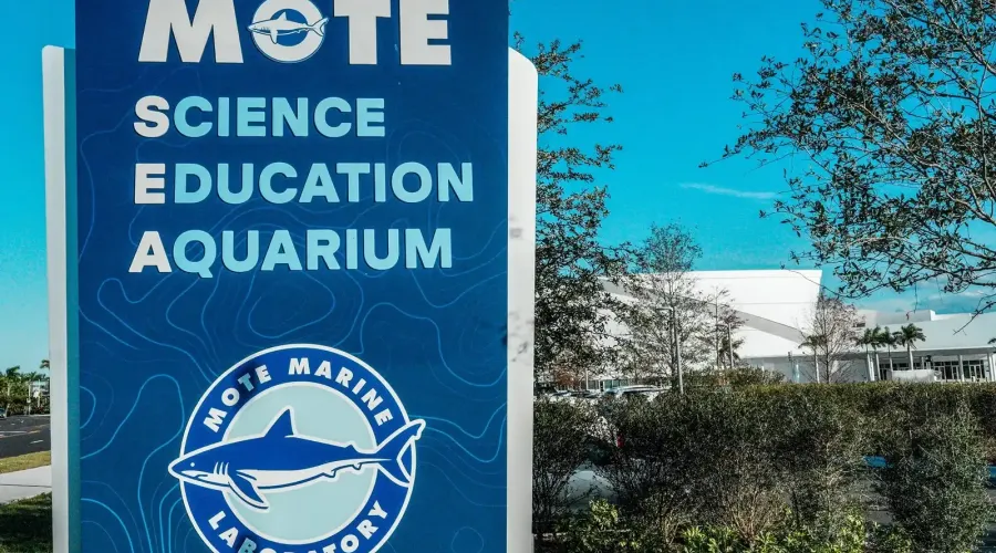 5510 Chanteclaire #46, Sarasota, Florida, 34235, United States, 3 Bedrooms Bedrooms, 5 Rooms Rooms,2 BathroomsBathrooms,Residential,For Sale,Chanteclaire #46,2003570