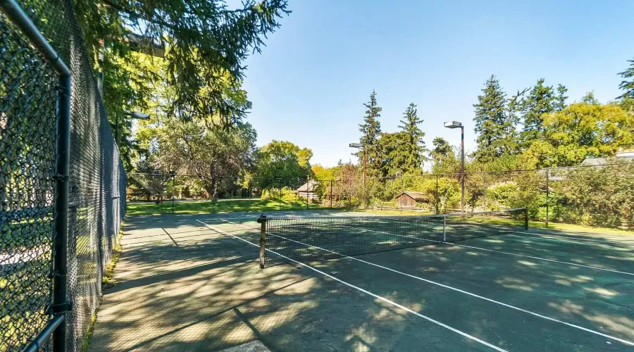 2552 Jarvis Street, Mississauga, Ontario, L5C 2P6, Canada, 6 Bedrooms Bedrooms, ,6 BathroomsBathrooms,Residential,For Sale,2003572