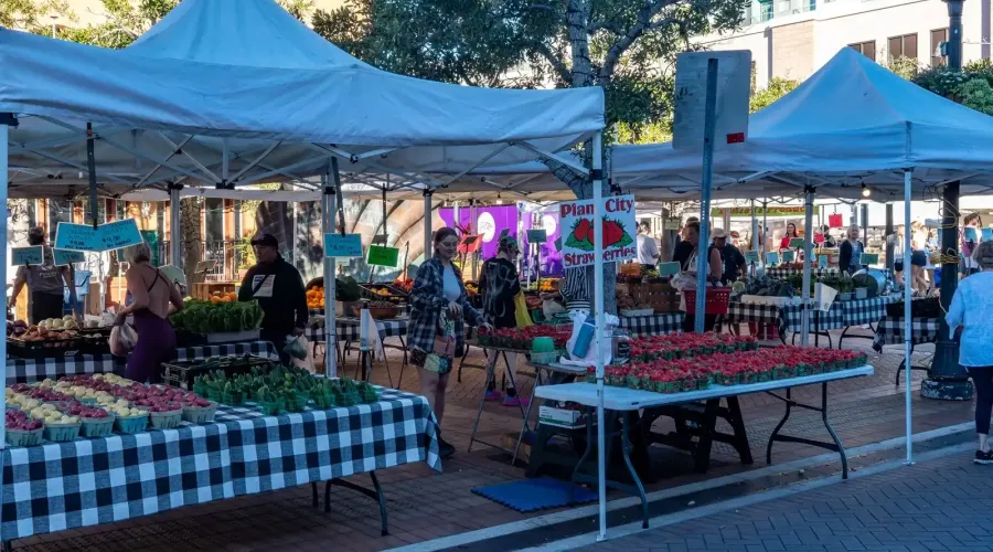 516 Laurel Park Drive, Sarasota, Florida, 34236, United States, 3 Bedrooms Bedrooms, 6 Rooms Rooms,3 BathroomsBathrooms,Residential,For Sale,Enclave at Laurel Park ,Laurel Park,2009431