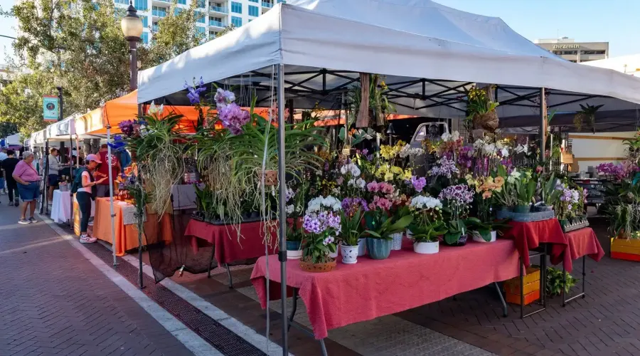 516 Laurel Park Drive, Sarasota, Florida, 34236, United States, 3 Bedrooms Bedrooms, 6 Rooms Rooms,3 BathroomsBathrooms,Residential,For Sale,Enclave at Laurel Park ,Laurel Park,2009431