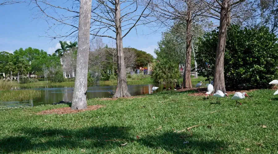 516 Laurel Park Drive, Sarasota, Florida, 34236, United States, 3 Bedrooms Bedrooms, 6 Rooms Rooms,3 BathroomsBathrooms,Residential,For Sale,Enclave at Laurel Park ,Laurel Park,2009431