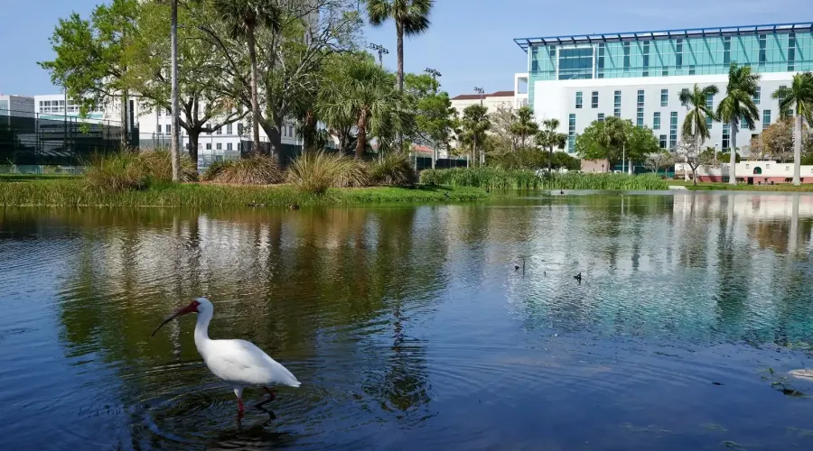 516 Laurel Park Drive, Sarasota, Florida, 34236, United States, 3 Bedrooms Bedrooms, 6 Rooms Rooms,3 BathroomsBathrooms,Residential,For Sale,Enclave at Laurel Park ,Laurel Park,2009431