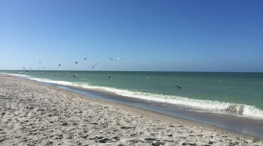 739 Anchor Drive, Sanibel Island, Florida, 33957, United States, 3 Bedrooms Bedrooms, 10 Rooms Rooms,2 BathroomsBathrooms,Residential,For Sale,Anchor,2020789